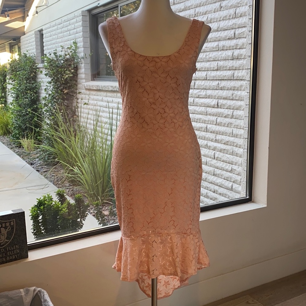 Forever 21 Floral Lace Pink Dress